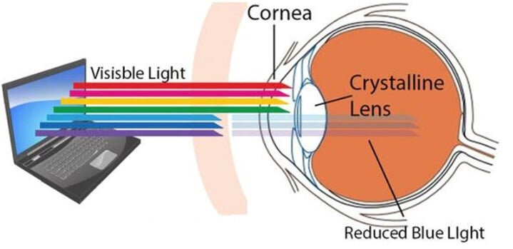 Blue light blocking Glasses - Auburn Lightweight Titanium frames - GroundedKiwi.nzEyeglasses Eyeglassesanti blueblue lightcomputer glasses