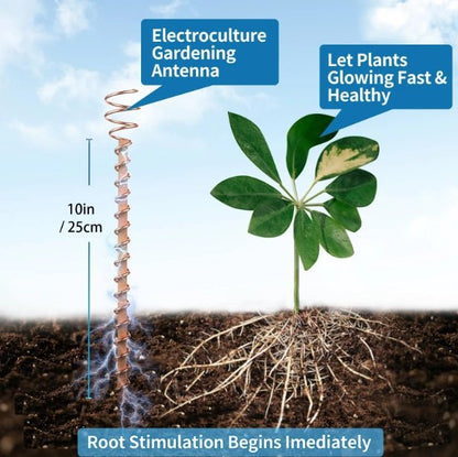 Electroculture Copper Gardening Antenna Set - GroundedKiwi.nz electroelectrocultureplant